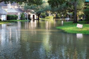 Read more about the article What to Know About Floods in Florida