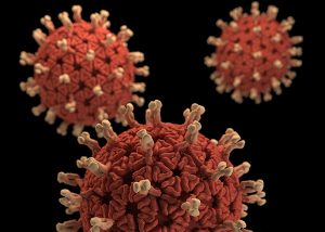 Read more about the article Coronavirus- 7 Frequently Asked Questions