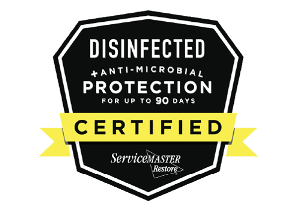 You are currently viewing New Antimicrobial Service Single Application Kills Bacteria For Up To 90 Days