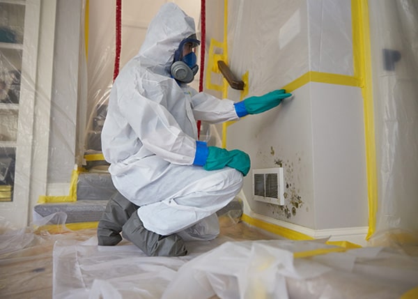 Read more about the article The Benefits of Rapid Mold Remediation in Florida: A Comprehensive Guide