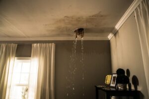 Read more about the article How to Prevent Mold Following Water Damage?